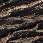 Textura